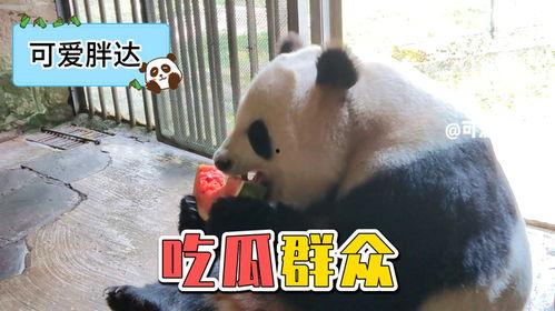 娱乐吃瓜遛鸟大师是谁啊,网络红人的传奇故事